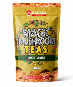 Canada Mushrooms Shroom Tea | 1000MG | Ginger Turmeric