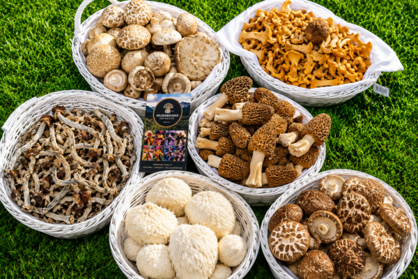 Psychedelic Mushrooms For Sale Canada