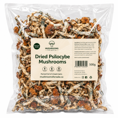Psychedelic Mushrooms For Sale Canada